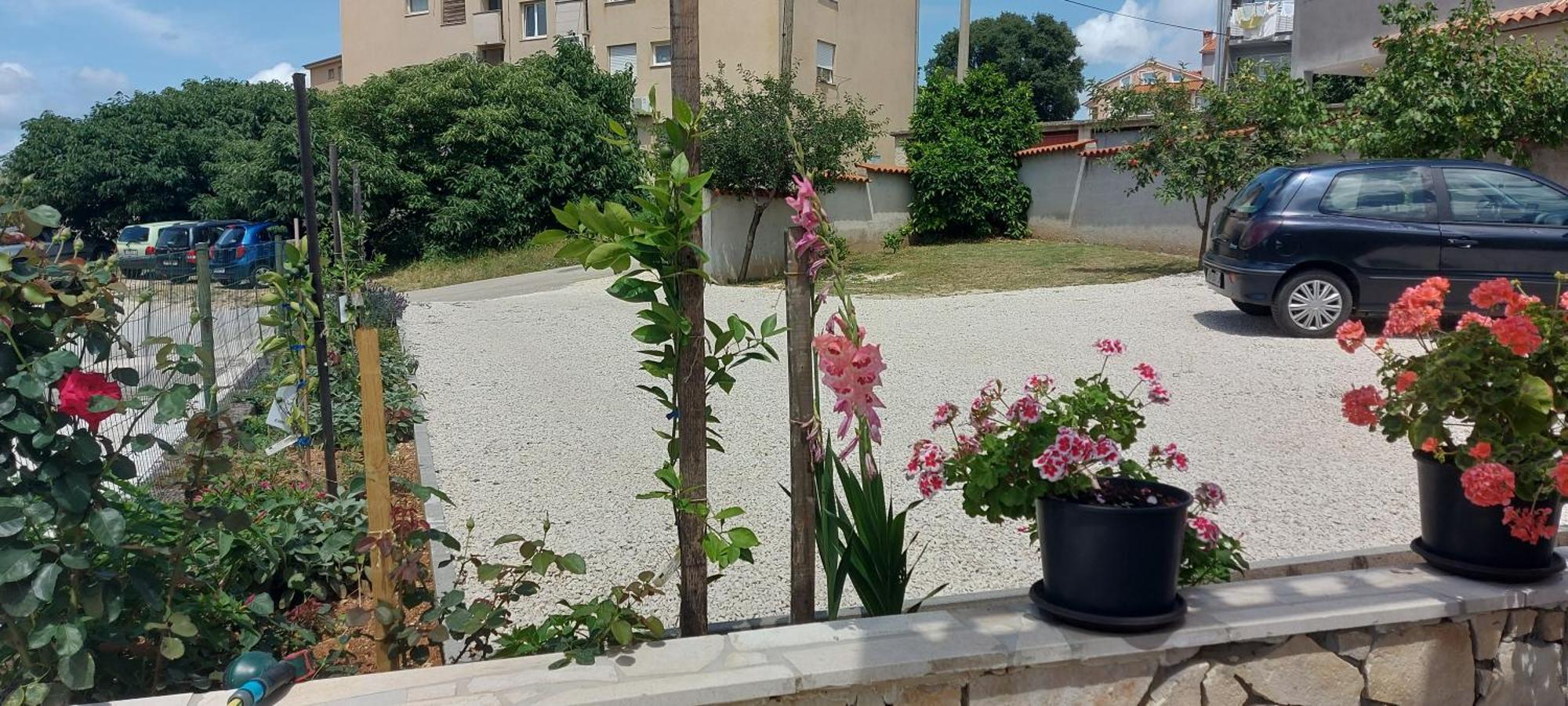 Ema & Sea Apartment'S With Free Private Parking Pula Exterior photo